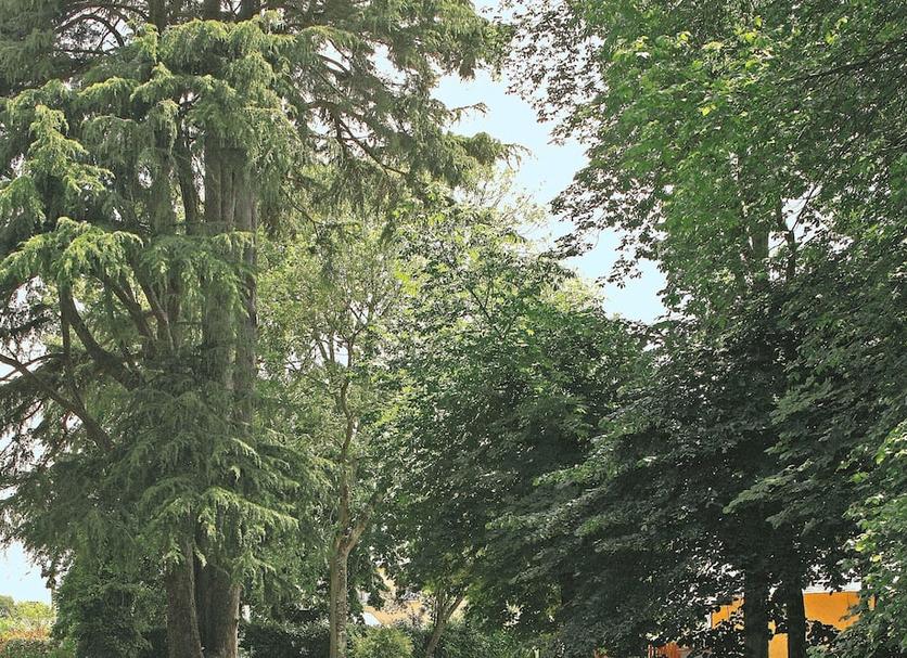 Vista del exterior Foto