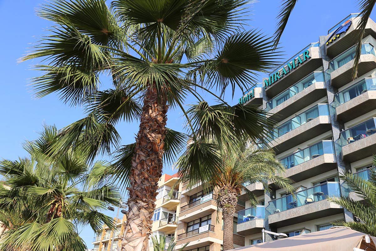 Vista del exterior