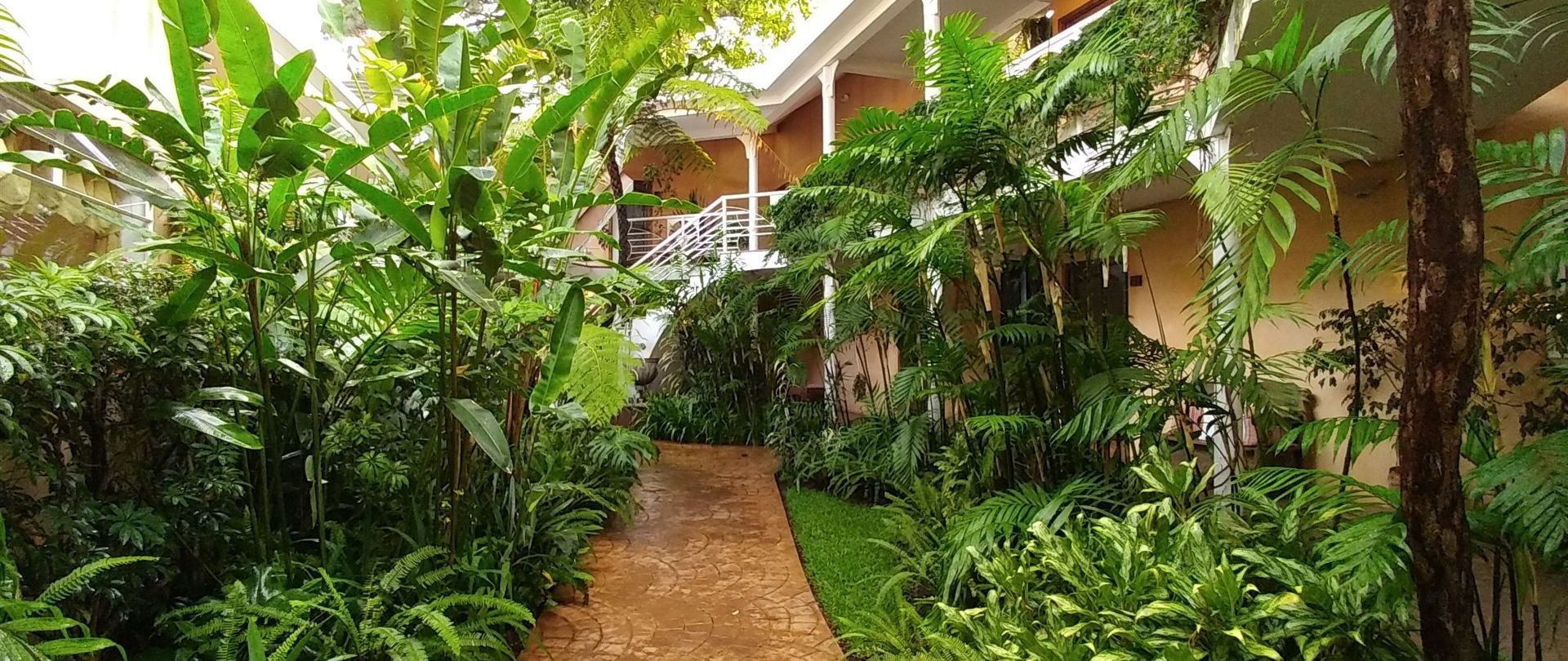 Vista del exterior