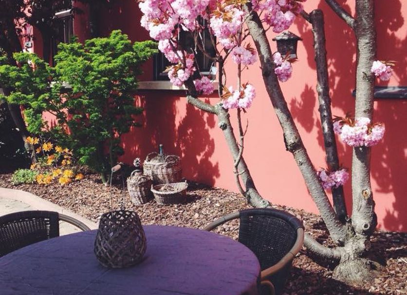 Patio Foto